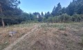 Продава ПАРЦЕЛ, област Благоевград, с. Елешница • 235000 € • 72002769 — Holmes.bg