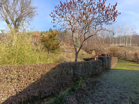 ������� ���� | Imot.bg � ����� ������ 17