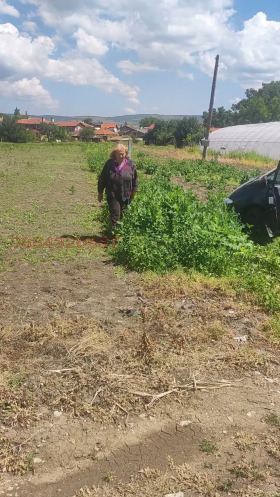 ПАРЦЕЛ, 1 000 m2