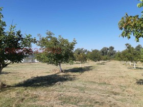 ������� ���� | Imot.bg � ����� ������ 11