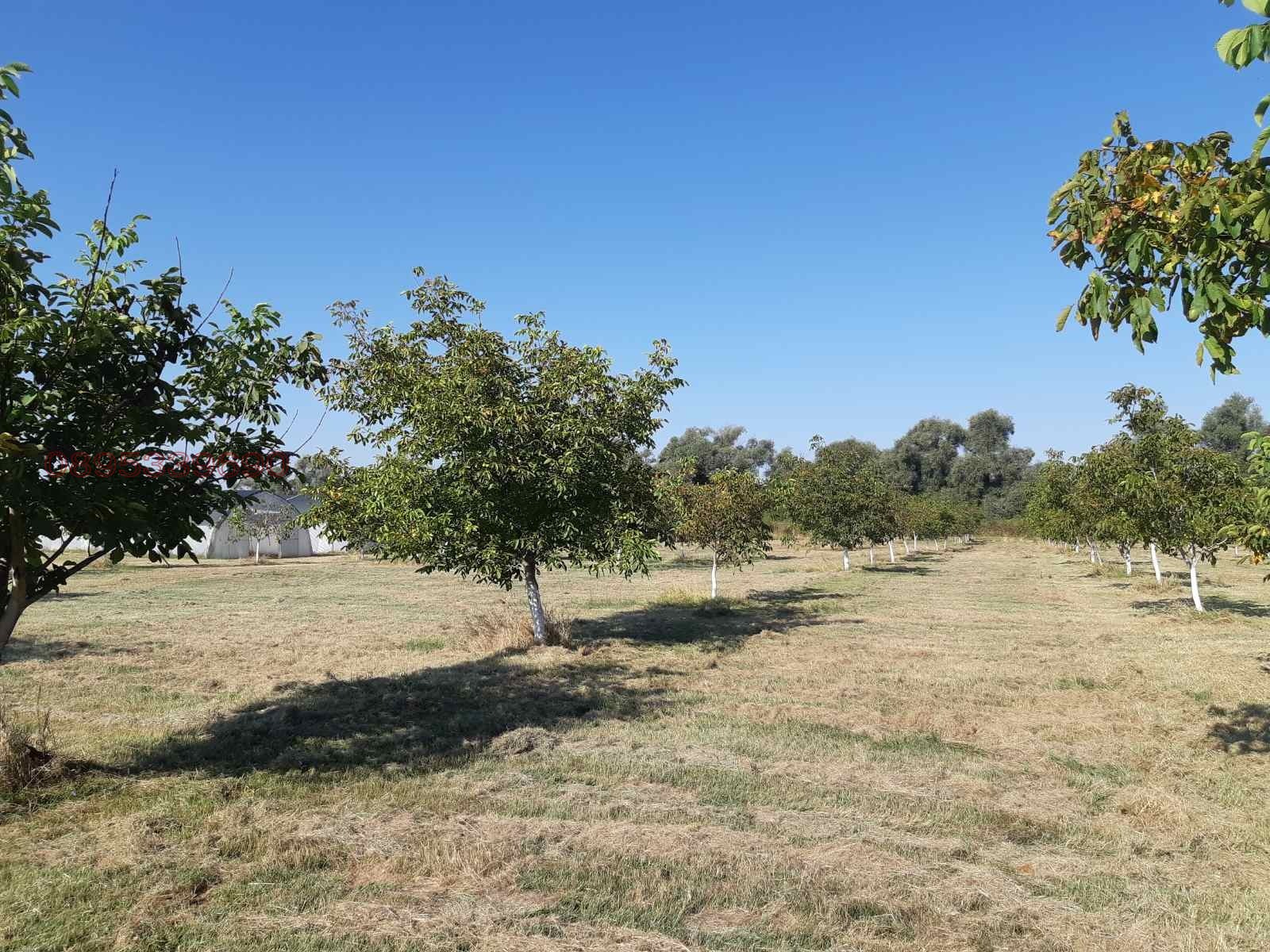 Продава КЪЩА, гр. София, с. Мрамор, снимка 11 - Къщи - 54159296