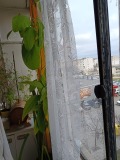 Продава 1-СТАЕН, гр. София, Дружба 1, снимка 5
