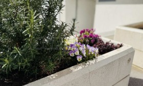 ������� ���������� | Imot.bg � ����� ������ 2