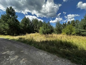 ������� ������ | Imot.bg � ����� ������ 14