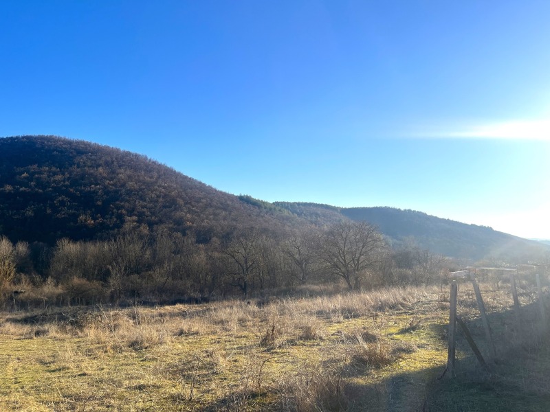 Eladó  Cselekmény régió Stara Zagora , Ljaskovo , 2590 négyzetméter | 52327538 - kép [3]