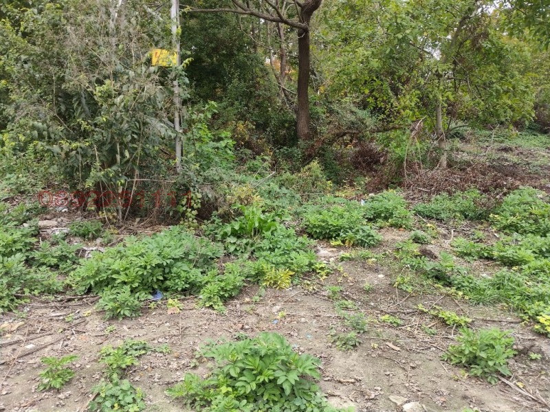 Продава ПАРЦЕЛ, гр. Варна, с. Тополи, снимка 9 - Парцели - 52773125