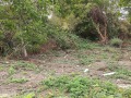 Продава ПАРЦЕЛ, гр. Варна, с. Тополи, снимка 5