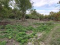 Продава ПАРЦЕЛ, гр. Варна, с. Тополи, снимка 8