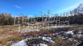 ������� ������ | Imot.bg � ����� ������ 14