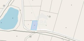 ����� ������� ������,���� �������, �������