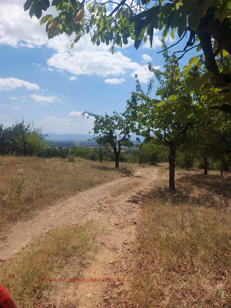 Προς πώληση  Οικόπεδο Σοφηια , Ποδγυμερ , 498 τ.μ | 67341588