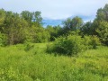 Продава ПАРЦЕЛ, област Варна, с. Долище • 30000 € • 32088418 — Holmes.bg