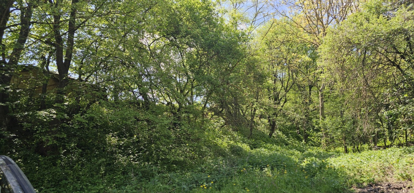 Продава ПАРЦЕЛ | Imot.bg — изображение 4