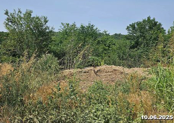 Продава  Парцел област Плевен , с. Козар Белене , 8530 кв.м | 20341468 - изображение [3]
