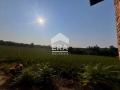 Продава  Къща област Русе , с. Пейчиново , 90 кв.м | 82542696 - изображение [11]