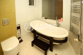 ����� ������� ����������,���� �����, ������