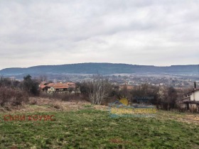 Parcelle Ptchelichte, région Veliko Tarnovo 1