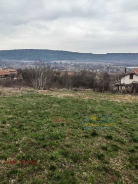 Parcelle Ptchelichte, région Veliko Tarnovo 4