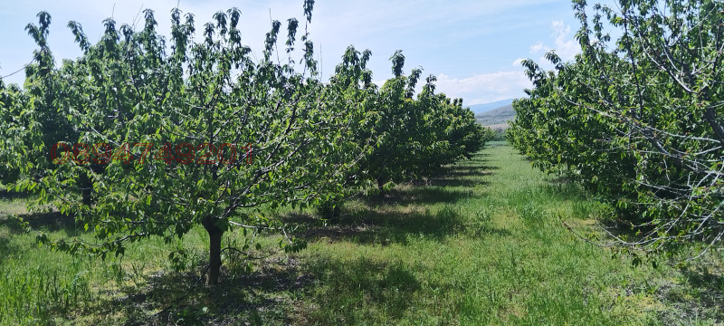 На продаж  Земля область Пазарджик , Синитово , 13.7 dka | 18862451 - зображення [6]
