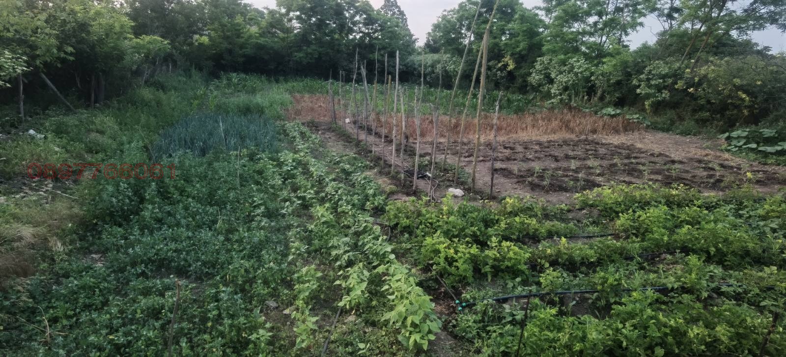 Продава КЪЩА, с. Вранино, област Добрич, снимка 8 - Къщи - 53673650