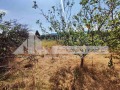 Продава КЪЩА, област Пловдив, гр. Кричим • 75000 € • 60897634 — Holmes.bg