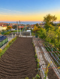 Продава ПАРЦЕЛ, гр. Варна, Виница, снимка 1