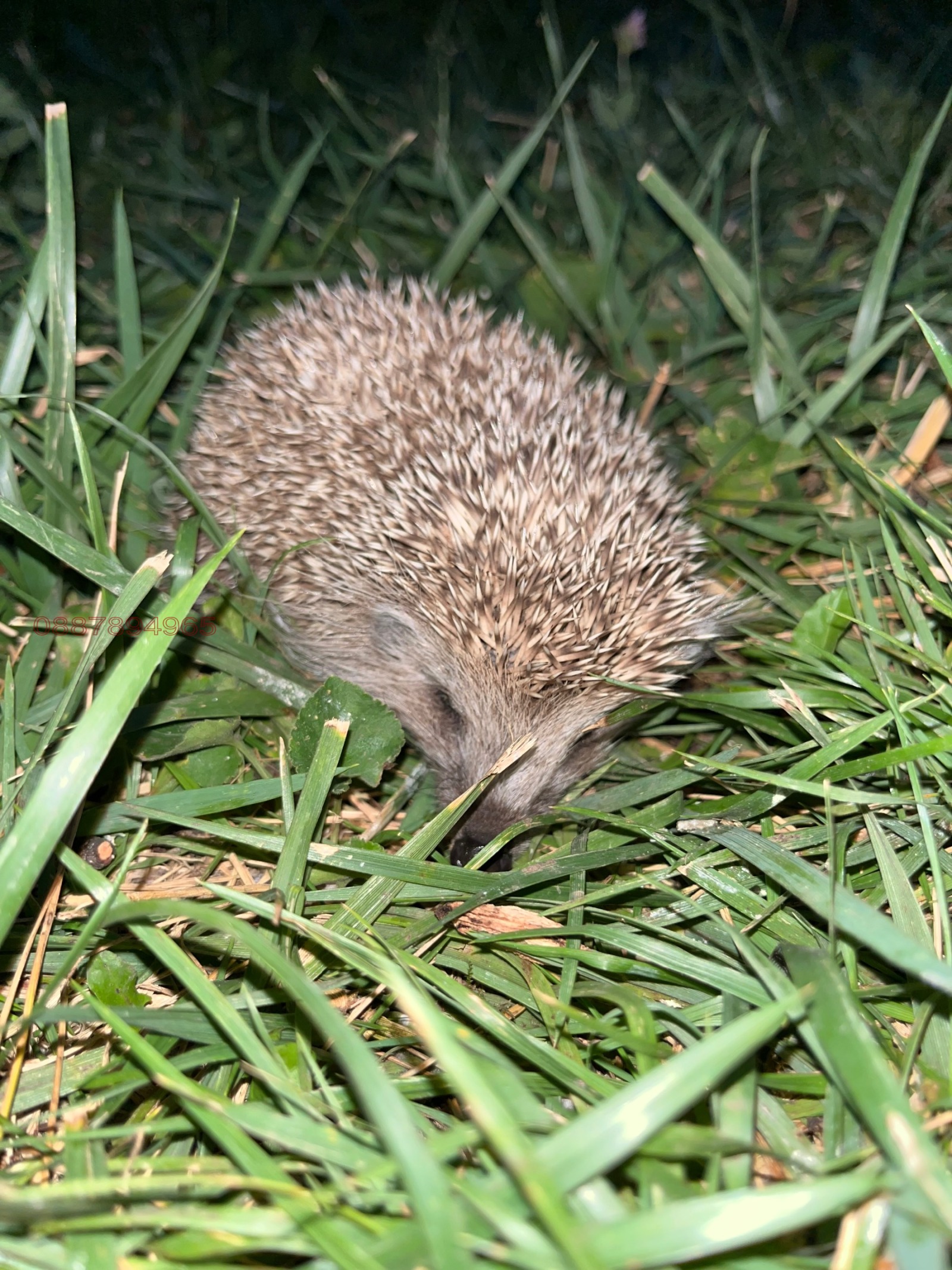 ������� ���� | Imot.bg � ����������� 15