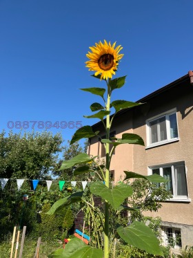 ������� ���� | Imot.bg � ����� ������ 14