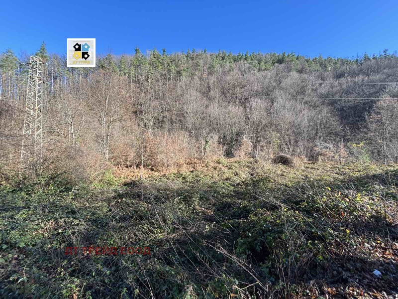 Продава ПАРЦЕЛ, с. Лопян, област София област, снимка 2 - Парцели - 52871487