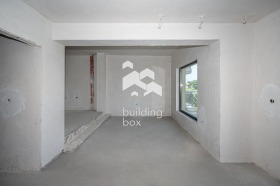 ����� ������� ����,���� �������, �������