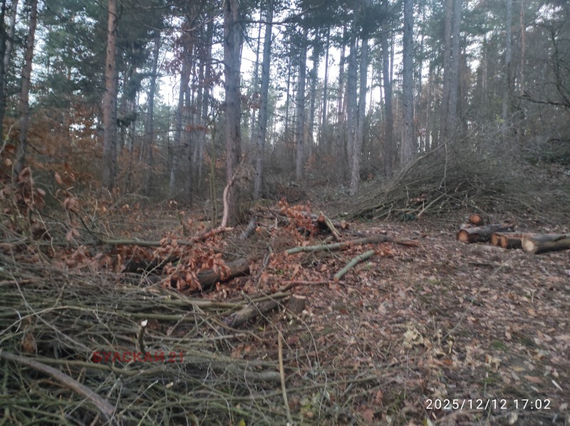 Продава ПАРЦЕЛ, гр. София, м-т Щъркелово гнездо, снимка 2 - Парцели - 52774878