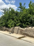 Продава ПАРЦЕЛ, област Пловдив, гр. Раковски • 99000 € • 73655734 — Holmes.bg