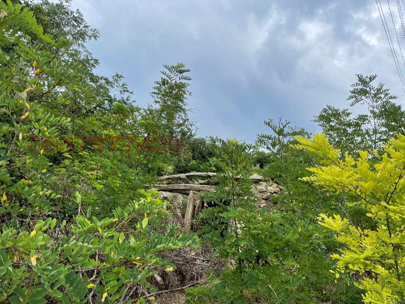 ������� ������ | Imot.bg � ����������� 1