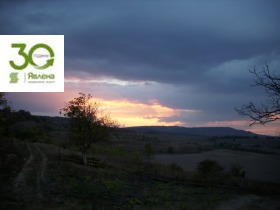 ����� ������� ���������� ����,�. ����������, ������ �����