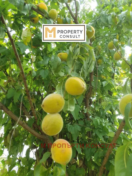 Продава КЪЩА, с. Пещерна, област Ловеч, снимка 11 - Къщи - 52321391