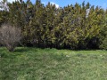 Продава КЪЩА, с. Червена вода, област Русе, снимка 3