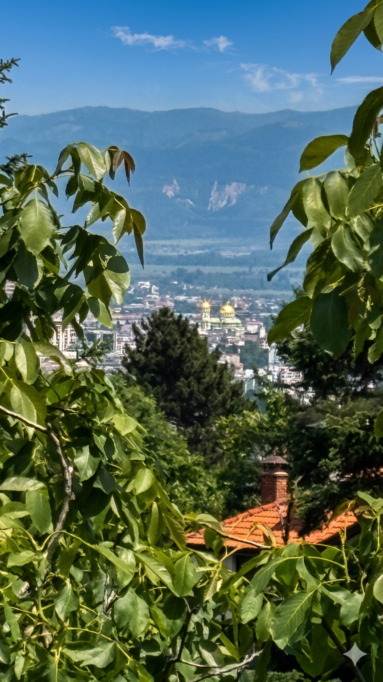 ������� ���� | Imot.bg � ����������� 9