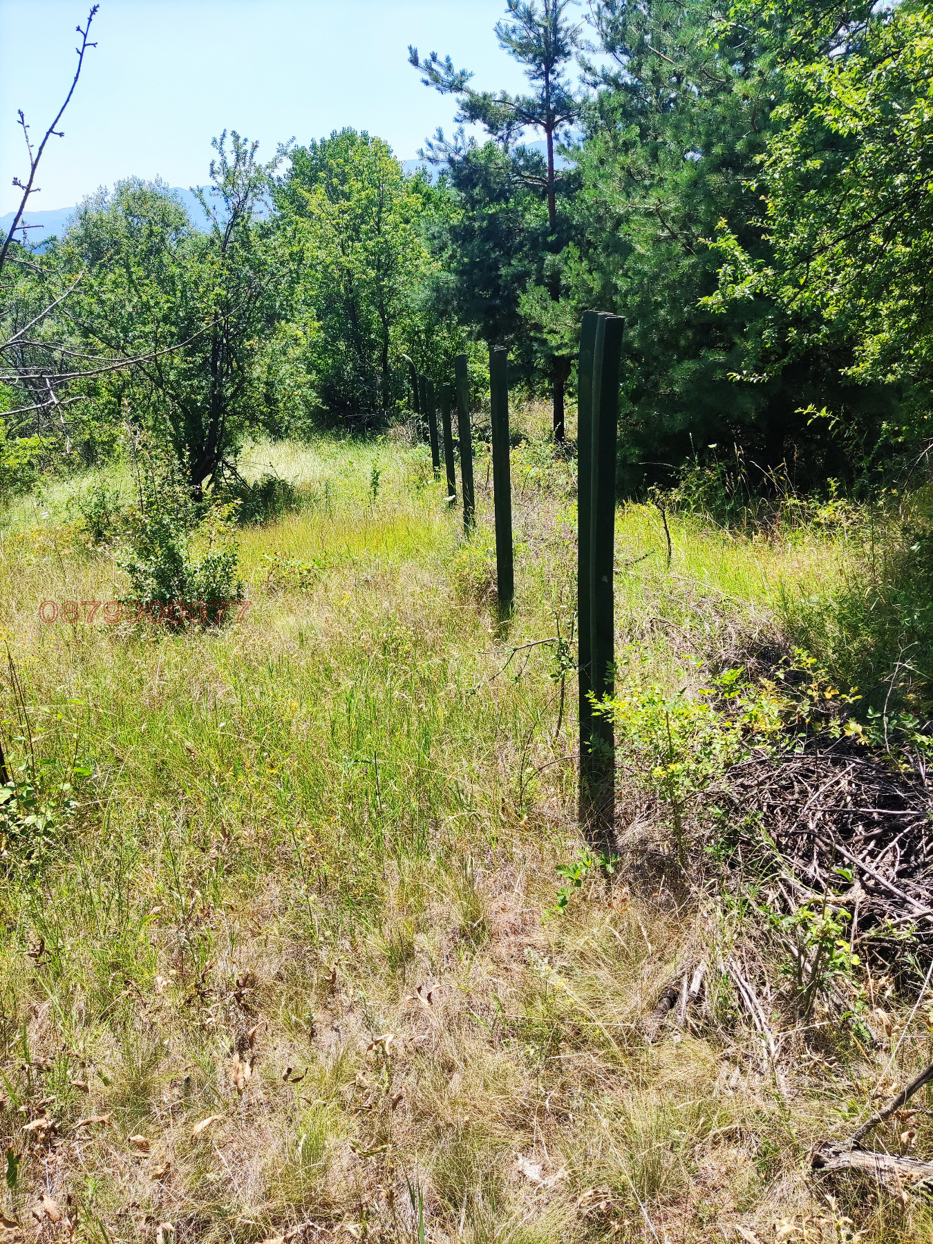 Продава ПАРЦЕЛ, с. Горна Василица, област София област, снимка 2 - Парцели - 53835846