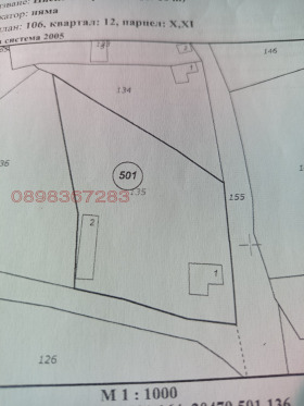 ����� ������� ������,�. ������, ������ ���������