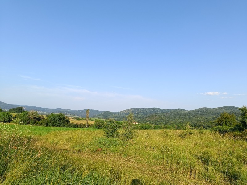 Продава ПАРЦЕЛ, с. Борилово, област Стара Загора, снимка 2 - Парцели - 39029426