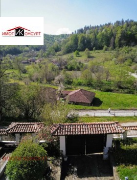 Hus Drenta, region Veliko Tarnovo 12