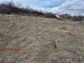 Spiknutí Teva, Pernik 10