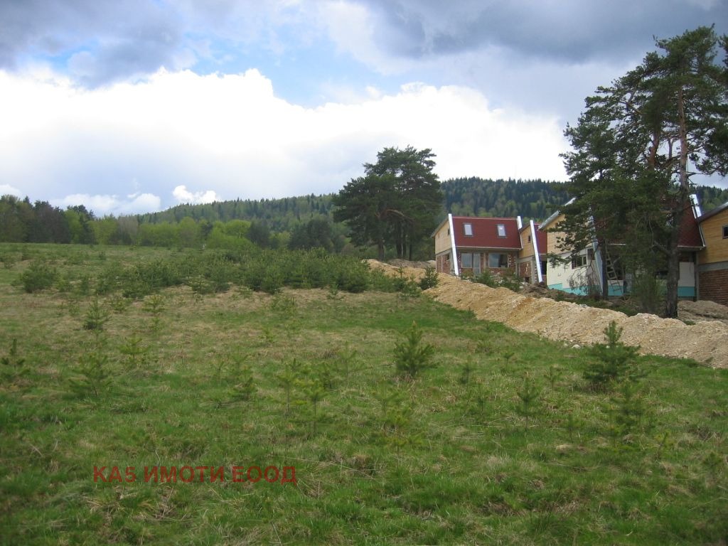Продава ПАРЦЕЛ, м-т Цигов чарк, област Пазарджик, снимка 2 - Парцели - 56240712
