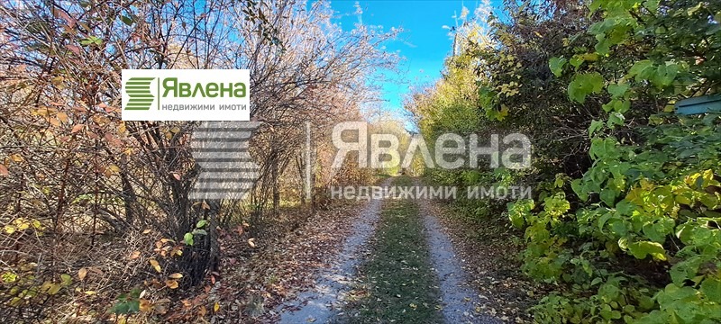 Продаја  Плот регион Софиа , Мала Раковица , 600 м2 | 51447624 - слика [8]