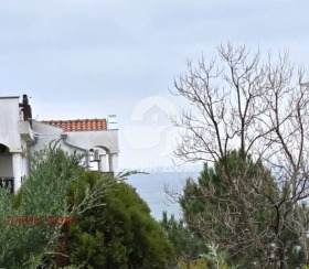 ����� ������� 2-�����,��. ����� ����, ������ ������