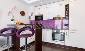 ����� ������� ����������,���� �����, �������