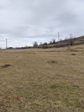 ������� ������ | Imot.bg � ����� ������ 8