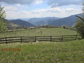 ����� ������� ������,��. �����, ������ �����