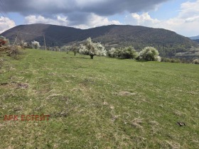 ������� ������ | Imot.bg � ����� ������ 5