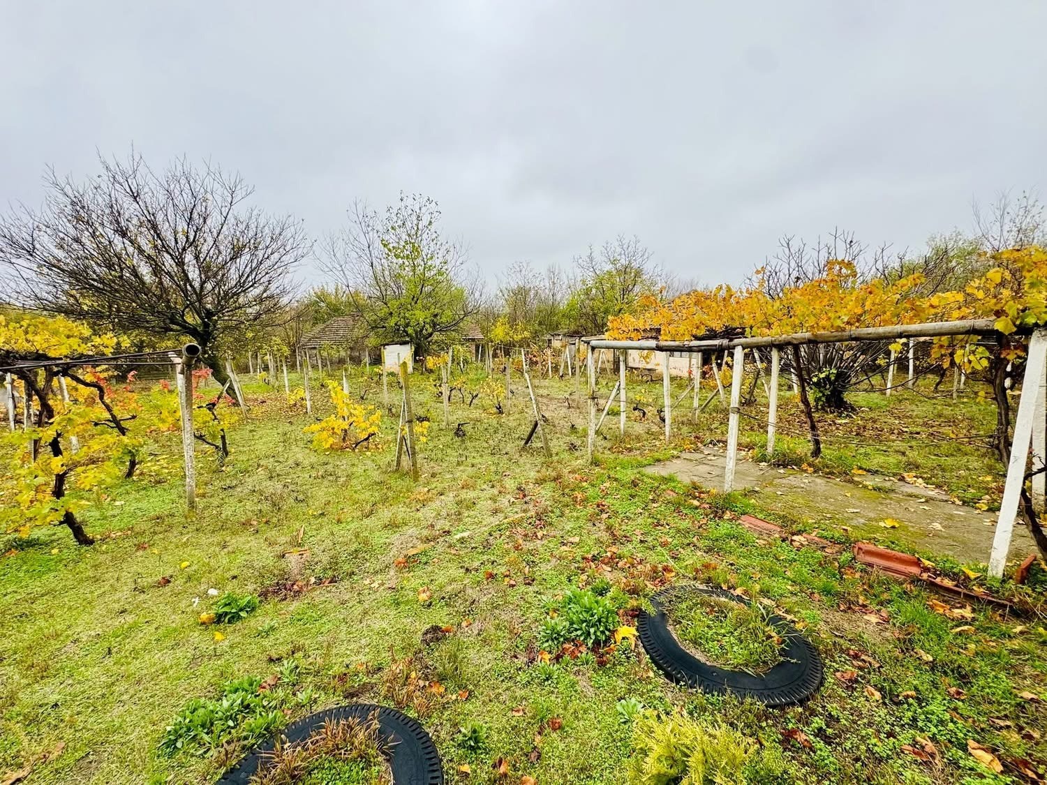 Продава КЪЩА, с. Станево, област Монтана, снимка 3 - Къщи - 53797601